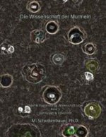 Die Wissenschaft der Murmeln: Daten & Diagramme für Wissenschaft Labor: Band 3