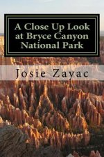 A Close Up Look at Bryce Canyon National Park