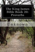 The King James Bible Book 20: Proverbs
