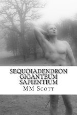 Sequoiadendron Giganteum Sapientium