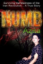 Numb: Surviving the Madness of the Iran Revolution... A True Story in Tehran