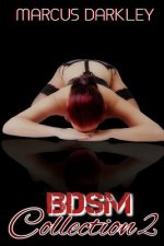 BDSM Collection 2
