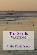 The Sky Is Waiting