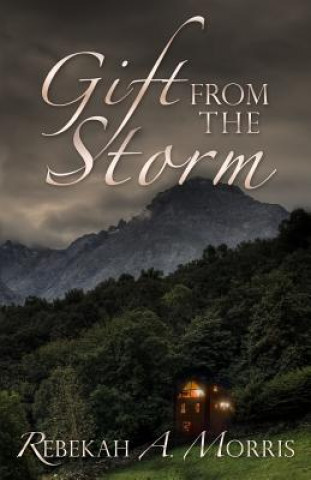 Gift from the Storm