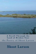 A Stroll Through the Land of Broken Toys: the Poetry of Skoot Larson