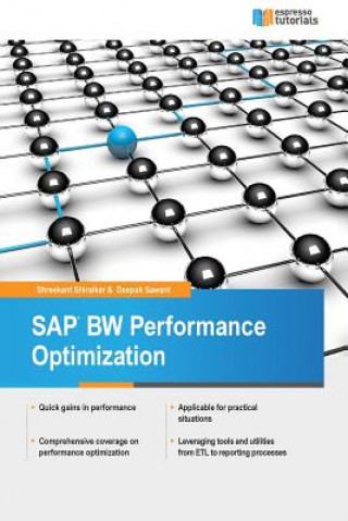 SAP BW Performance Optimization