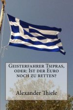 Geisterfahrer Tsipras, oder: Ist der Euro noch zu retten?: Wege zu einer stabilen Währungsunion nach der Wahl in Griechenland