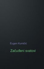 Zacudjeni Svatovi: Roman