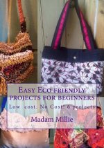 6 Easy Eco friendly projects for beginners: Low cost! No Cost!