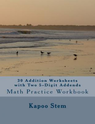30 Addition Worksheets with Two 5-Digit Addends: Math Practice Workbook