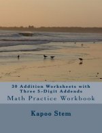 30 Addition Worksheets with Three 5-Digit Addends: Math Practice Workbook