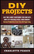 DIY Projects: Save Time & Money Maintaining Your Home with Simple DIY Household Hacks, Home Remedies: Increase Productivity & Save T