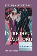 Intre Doua Calatorii: Proza Scurta