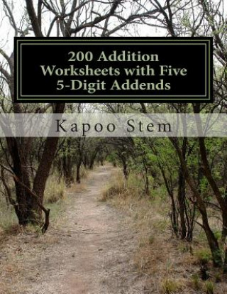 200 Addition Worksheets with Five 5-Digit Addends: Math Practice Workbook