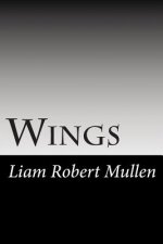 Wings: Pilot Episode