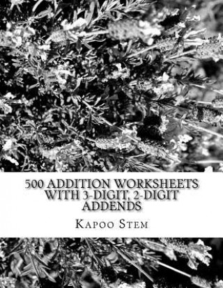 500 Addition Worksheets with 3-Digit, 2-Digit Addends: Math Practice Workbook