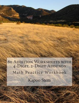 60 Addition Worksheets with 4-Digit, 2-Digit Addends: Math Practice Workbook