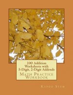 100 Addition Worksheets with 5-Digit, 2-Digit Addends: Math Practice Workbook