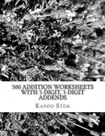 500 Addition Worksheets with 5-Digit, 3-Digit Addends: Math Practice Workbook