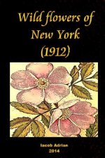 Wild flowers of New York (1912)