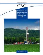 The Economic and Budgetary Effects of Producing Oil and Natural Gas From Shale