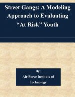 Street Gangs: A Modeling Approach to Evaluating 