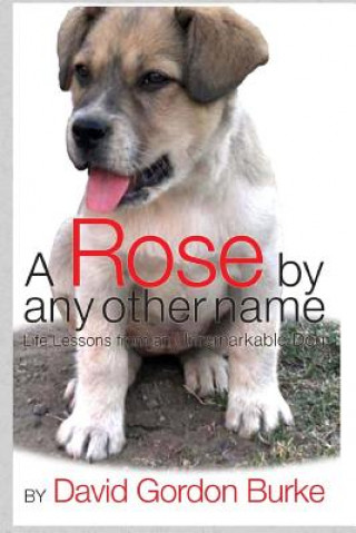 A Rose by Any Other Name: Life Lessons from an Unremarkable Dog