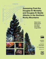 Assessing Post-fire Douglas-fir Mortality and Douglas-fir Beetle Attacks in the Northern Rocky Mountains