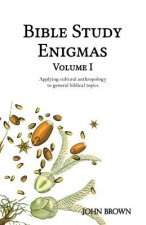 Bible Study Enigmas, Volume I: Applying cultural anthropology to general biblical topics