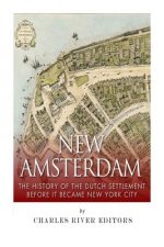 New Amsterdam: The History of the Dutch Settlement Before It Became New York City