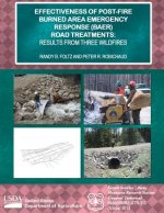 Effectiveness of Post-fire Burned Area Emergency Response (BAER) Road Treatments: Results from Three Wildfires