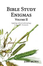 Bible Study Enigmas, Volume II: Applying cultural anthropology to the New Testament