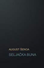 Seljacka Buna: Povijesni Roman