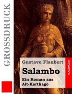 Salambo (Großdruck): Ein Roman aus Alt-Karthago