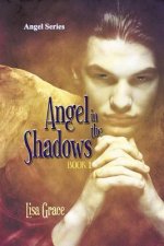Angel in the Shadows, Book 1 by Lisa Grace: Angel Series