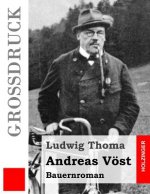 Andreas Vöst (Großdruck): Bauernroman