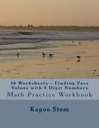 30 Worksheets - Finding Face Values with 6 Digit Numbers: Math Practice Workbook