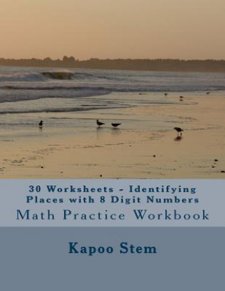30 Worksheets - Identifying Places with 8 Digit Numbers: Math Practice Workbook
