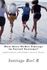 How does Order emerge in Social Systems?: Applied Chaos and Complex System Theory