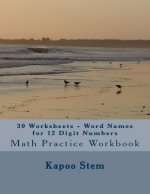 30 Worksheets - Word Names for 12 Digit Numbers: Math Practice Workbook