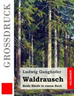 Waldrausch (Großdruck): Beide Bände in einem Buch