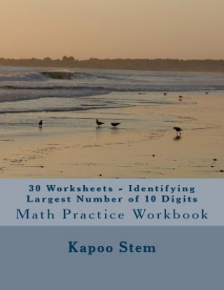 30 Worksheets - Identifying Largest Number of 10 Digits: Math Practice Workbook