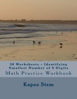 30 Worksheets - Identifying Smallest Number of 8 Digits: Math Practice Workbook