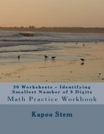 30 Worksheets - Identifying Smallest Number of 9 Digits: Math Practice Workbook