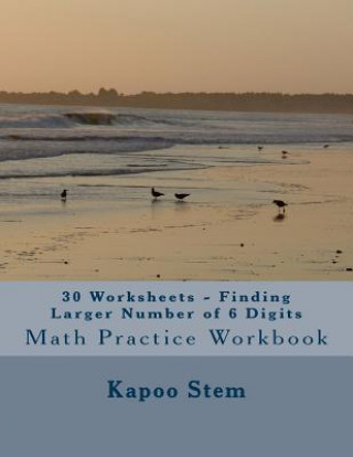 30 Worksheets - Finding Larger Number of 6 Digits: Math Practice Workbook