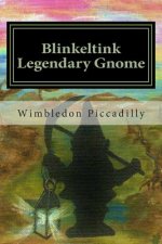 Blinkeltink the Legendary Gnome: Gemstone of Gnomerron