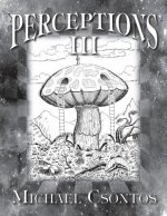 Perceptions III