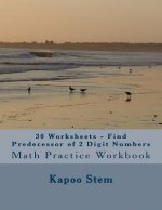 30 Worksheets - Find Predecessor of 2 Digit Numbers: Math Practice Workbook