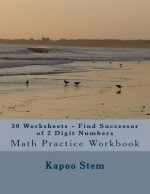 30 Worksheets - Find Successor of 2 Digit Numbers: Math Practice Workbook