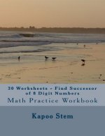 30 Worksheets - Find Successor of 8 Digit Numbers: Math Practice Workbook